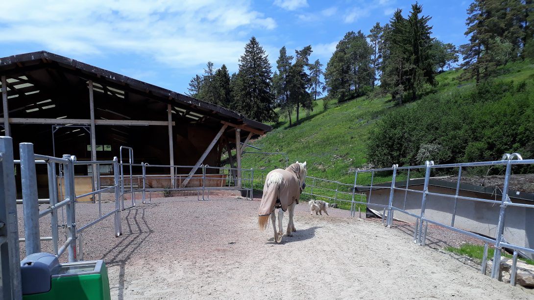 oelehof-akademie nevi unterwegs